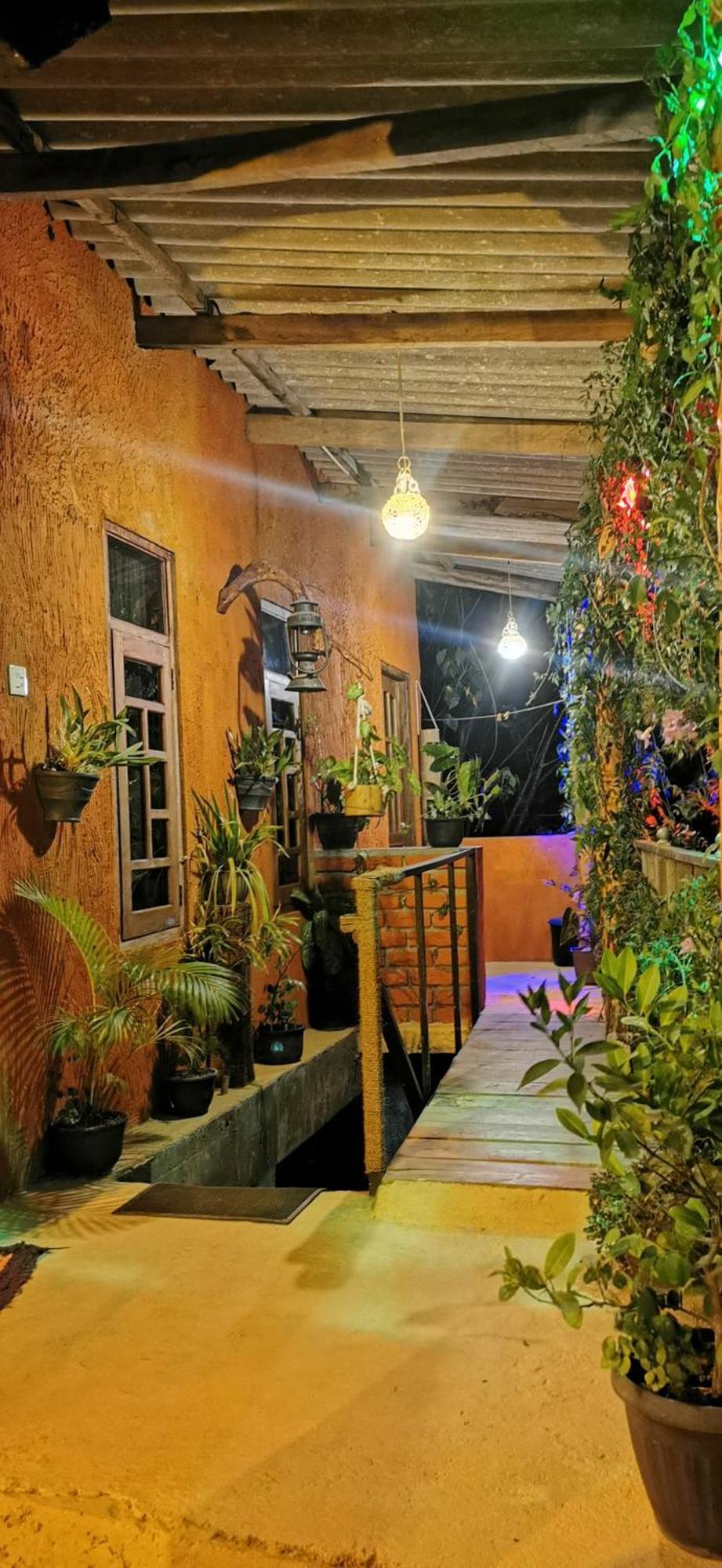 Hostal Tree House Элла Экстерьер фото