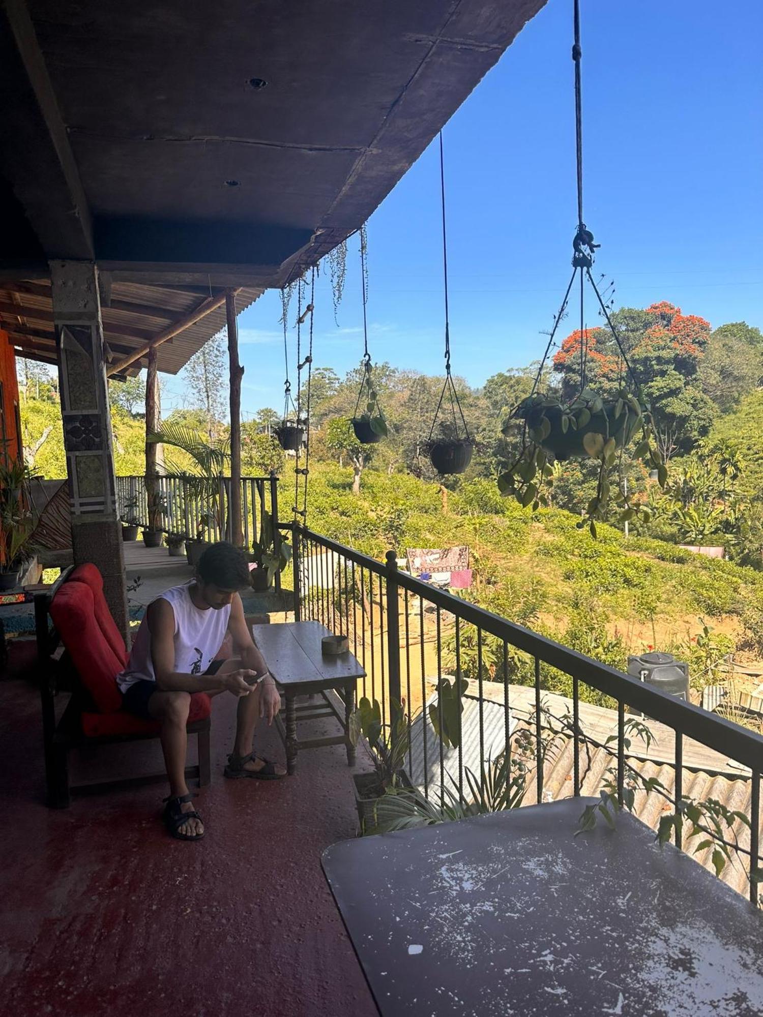 Hostal Tree House Элла Экстерьер фото